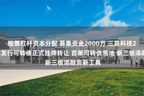 股票杠杆资本分配 募集资金2000万 三景科技20万张定向发行可转债正式挂牌转让 首单可转债落地 新三板添融资新工具